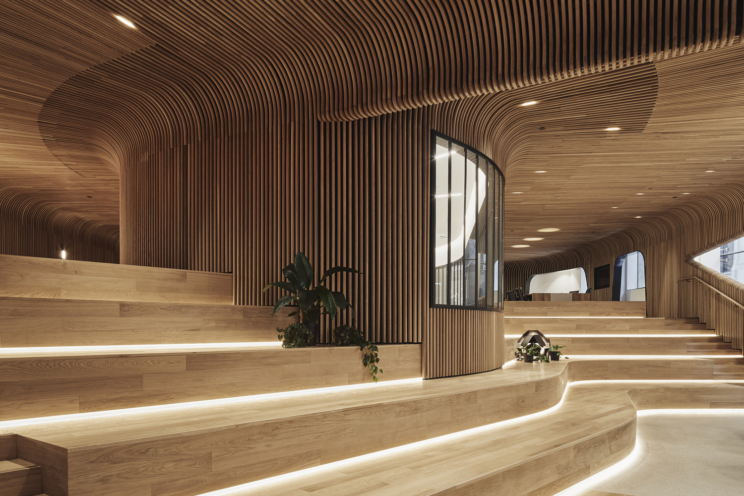 طراحی دکوراسیون داخلی ساختمان با چوب منحنی